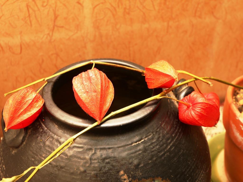 Minshuku Kojima Hotel Nozawaonsen Ngoại thất bức ảnh
